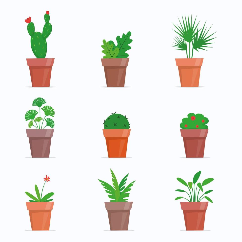 plantas y flores en macetas. lindas plantas de interior en estilo plano. ilustración vectorial vector