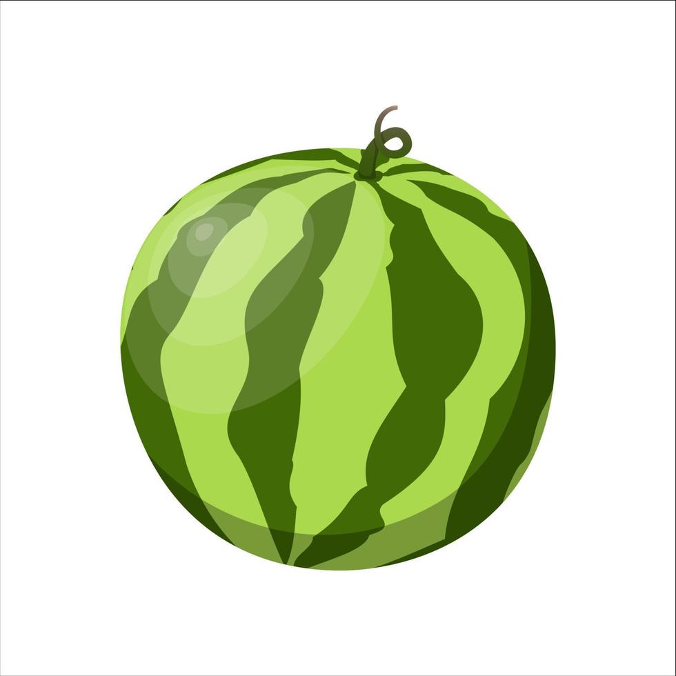 Watermelon ripe juicy vector illustration isolated on white background.