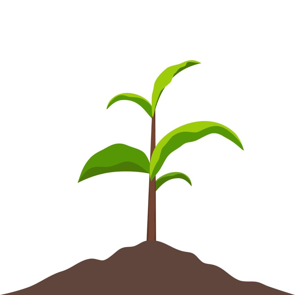 Sprout growing in soil. Small sprout with green leaves. Symbol of development, organic agriculture, natural products. Vector gardening plant, symbol of ecology.Flat vector illustration.