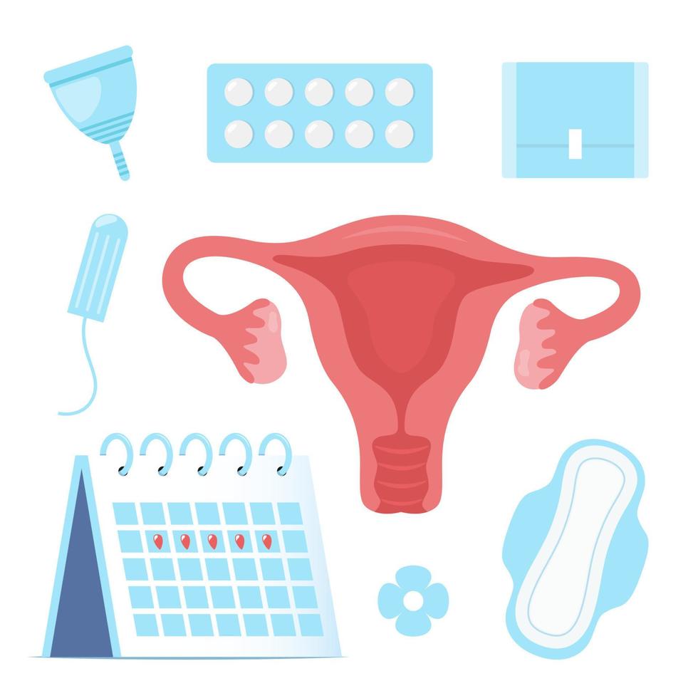 menstruación, conjunto de elementos. toallas sanitarias, tampones, copa menstrual y otros productos de higiene femenina. calendario menstrual. útero. ilustración vectorial de salud reproductiva de la mujer. vector