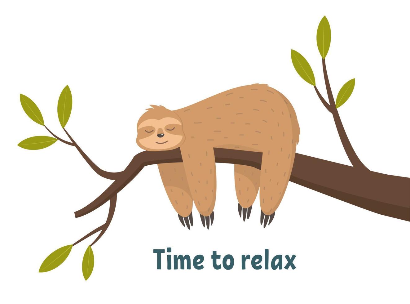 Cute sloth sleeping, resting on tree branch isolated on white background. Time to relax, concept vector illustration.