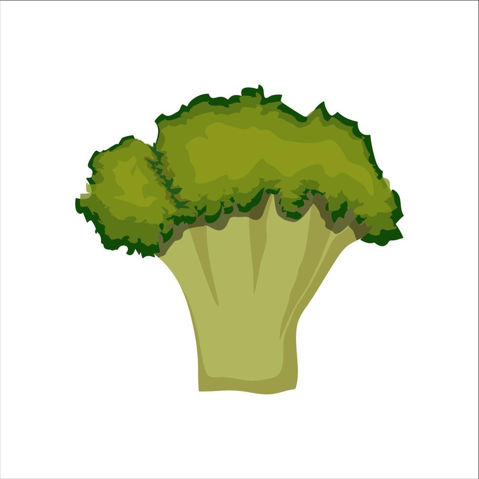 icono de brócoli. ilustración plana del icono de vector de brócoli aislado sobre fondo blanco.