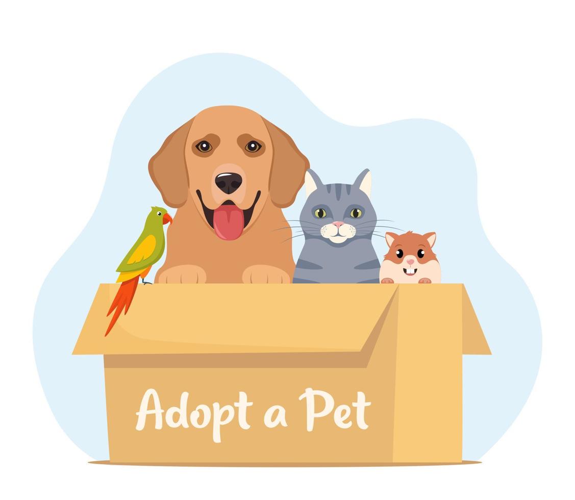 Adopt a pet. Cute homeless puppy, kitten, hamster, parrot inside a cardboard box are waiting for the adoption. Vector illustration for animal shelter poster.