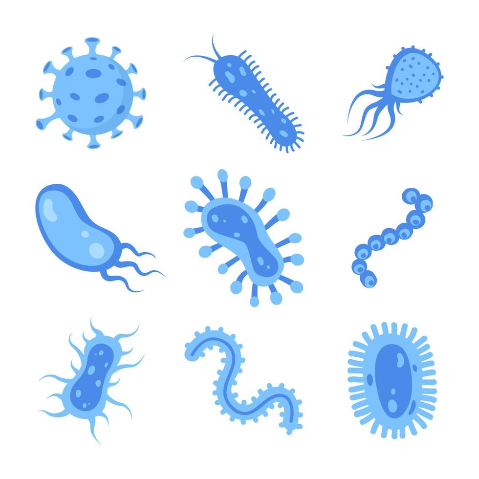 diferentes bacterias, microorganismos patógenos, conjunto. bacterias y gérmenes, microorganismos causantes de enfermedades, bacterias, bacterias, virus, hongos, protozoos, probióticos. ilustración vectorial vector