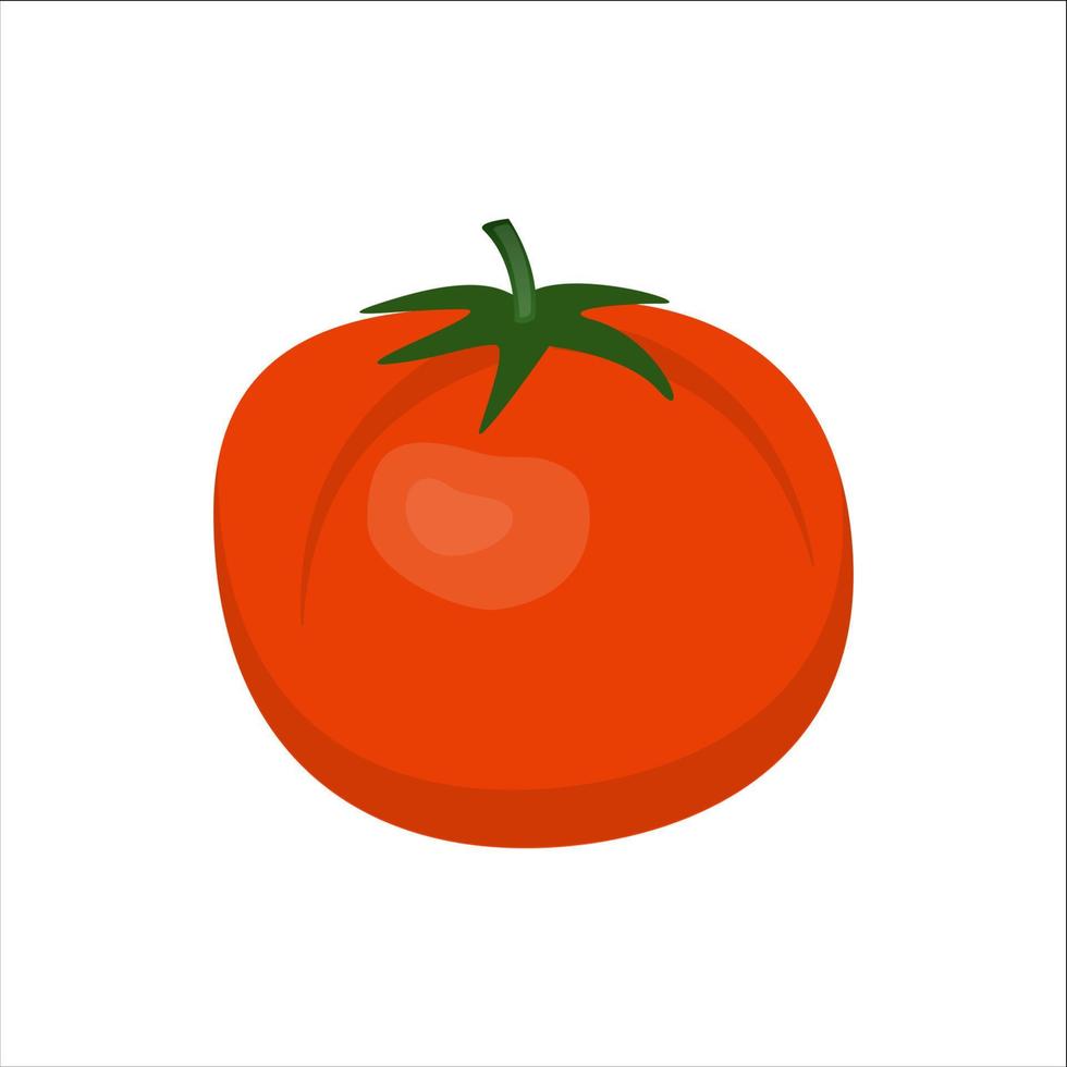 tomate fresco jugoso rojo aislado sobre fondo blanco, ilustración vectorial en estilo plano. vector