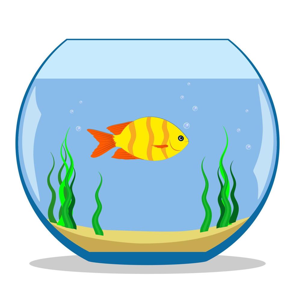 Colorful exotic fish in a fishbowl with seaweed and sand on the bottom. Vector illustration, flat.