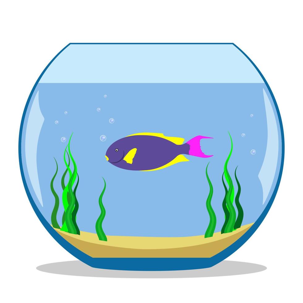 Colorful exotic fish in a fishbowl with seaweed and sand on the bottom. Vector illustration, flat.