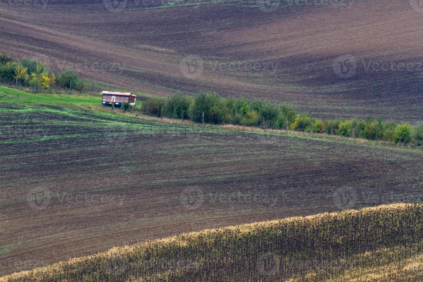 paisaje otoñal en los campos de moravia foto