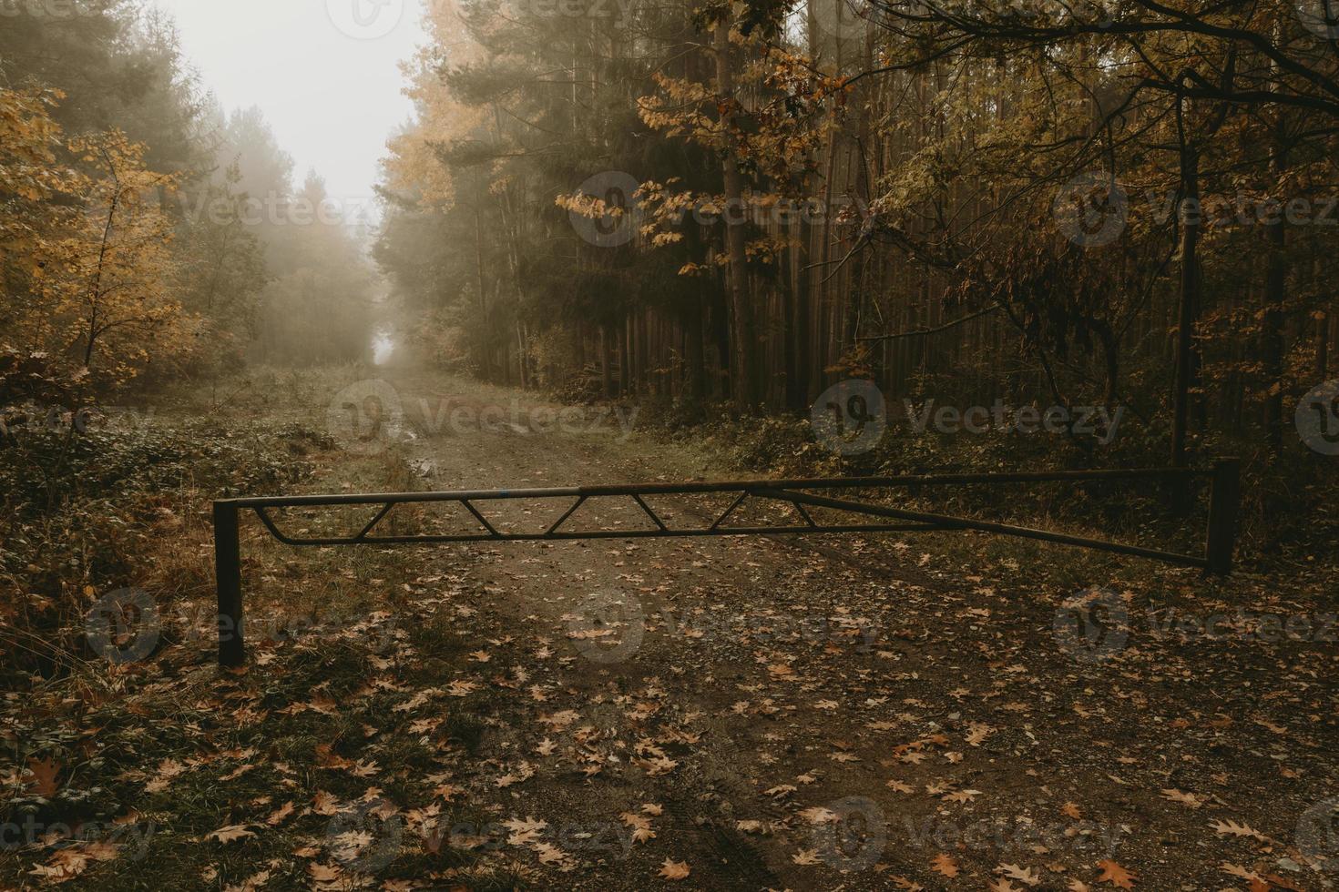 Old rusty closed metal barrier over a forest path with foggy autumn morning forest in the background photo