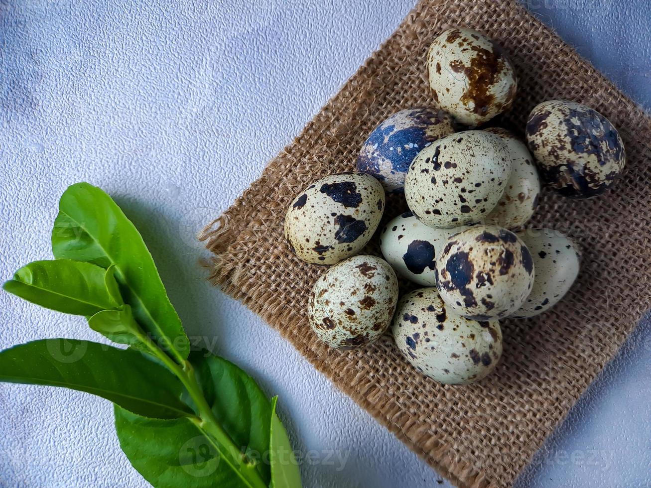 Quail eggs from quail, a collection of quail eggs on a wooden plate against a white wall background photo