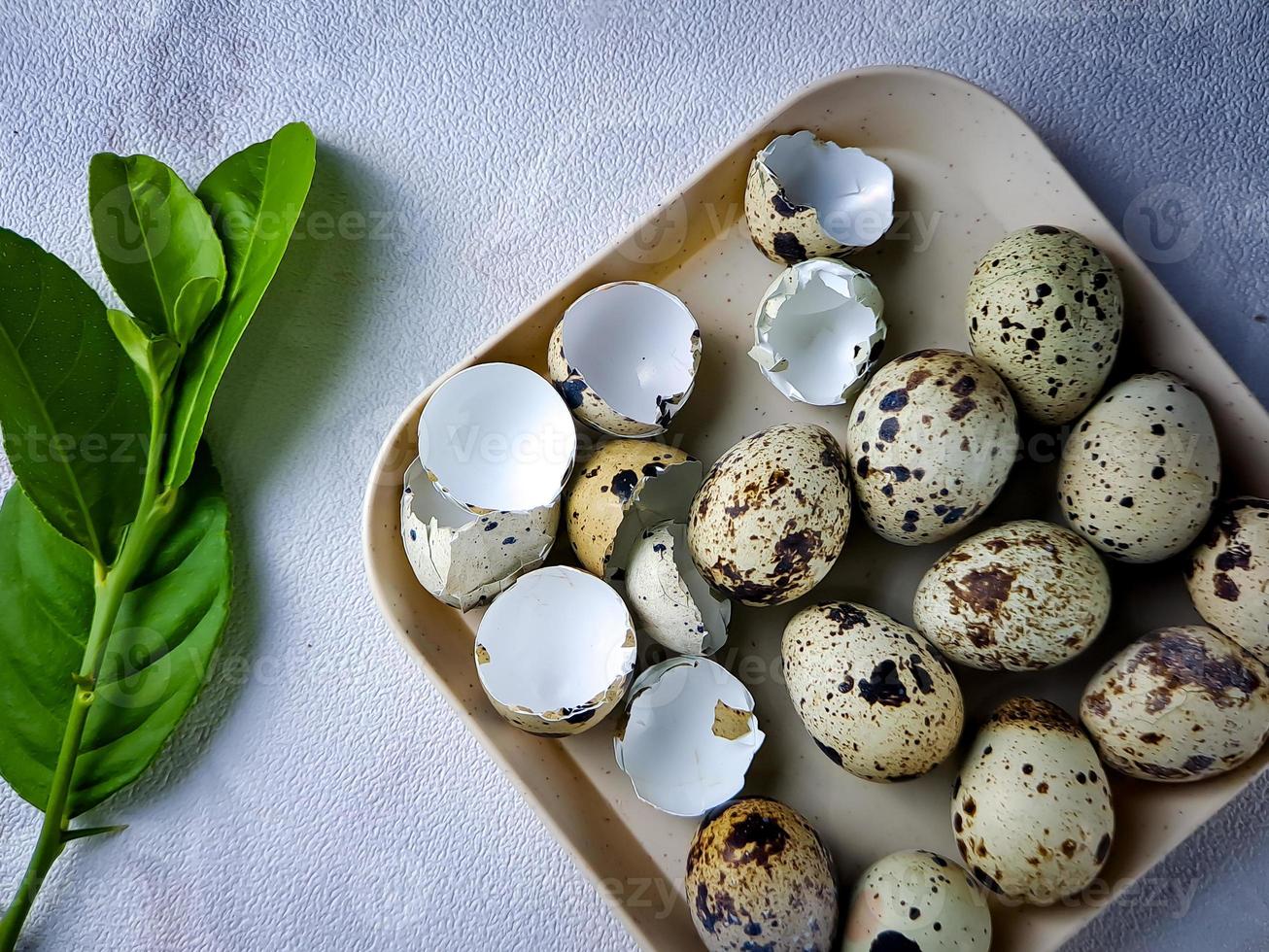 Quail eggs from quail, a collection of quail eggs on a wooden plate against a white wall background photo