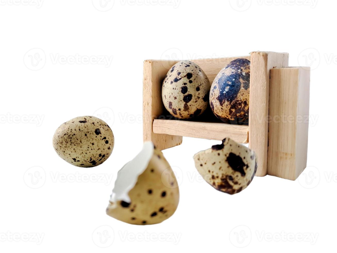 Quail eggs from quail, a collection of quail eggs on a wooden plate with isolated white background photo