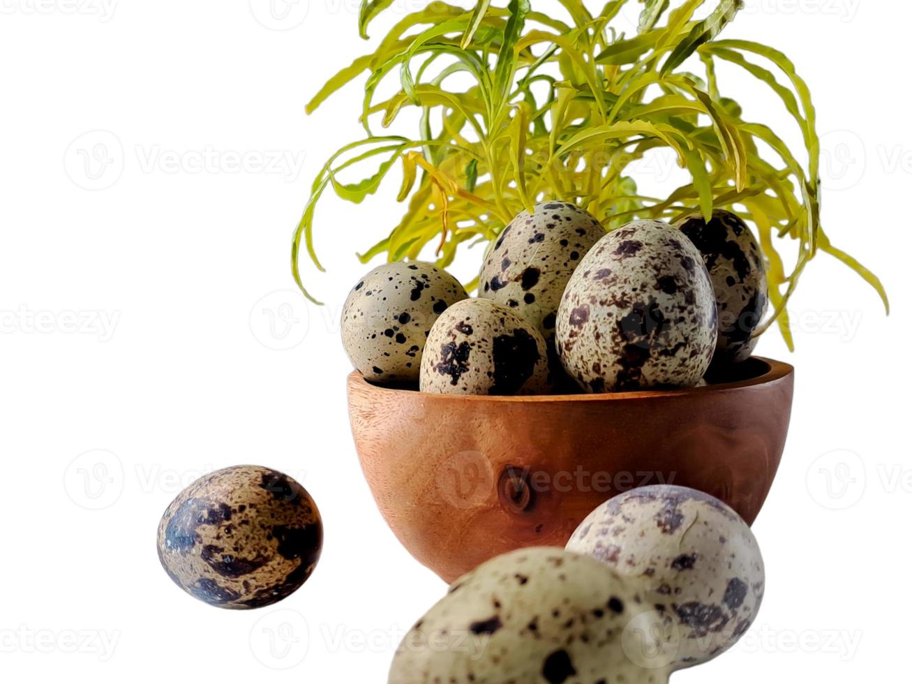 Quail eggs from quail, a collection of quail eggs on a wooden plate with isolated white background photo