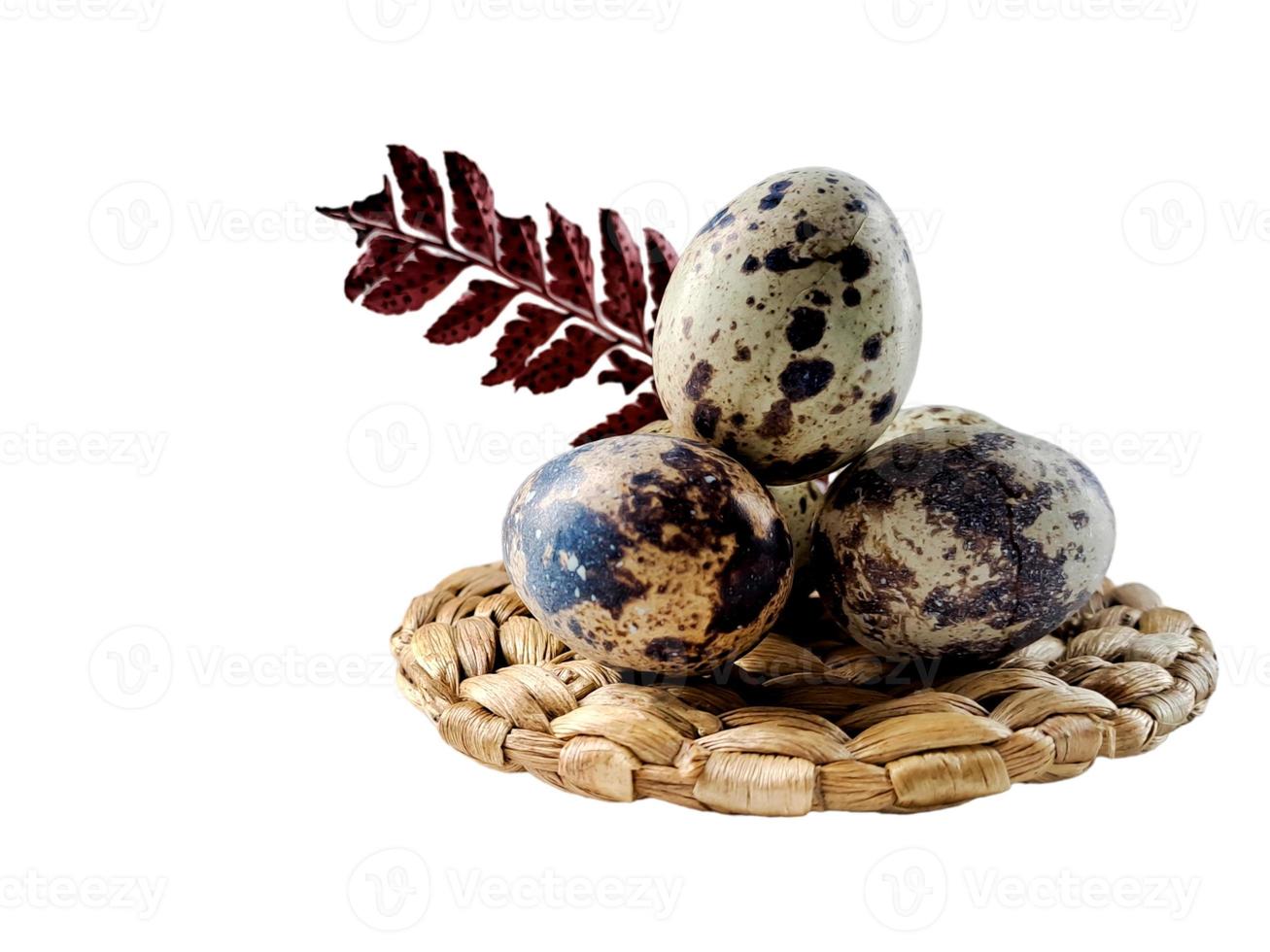 Quail eggs from quail, a collection of quail eggs on a wooden plate with isolated white background photo