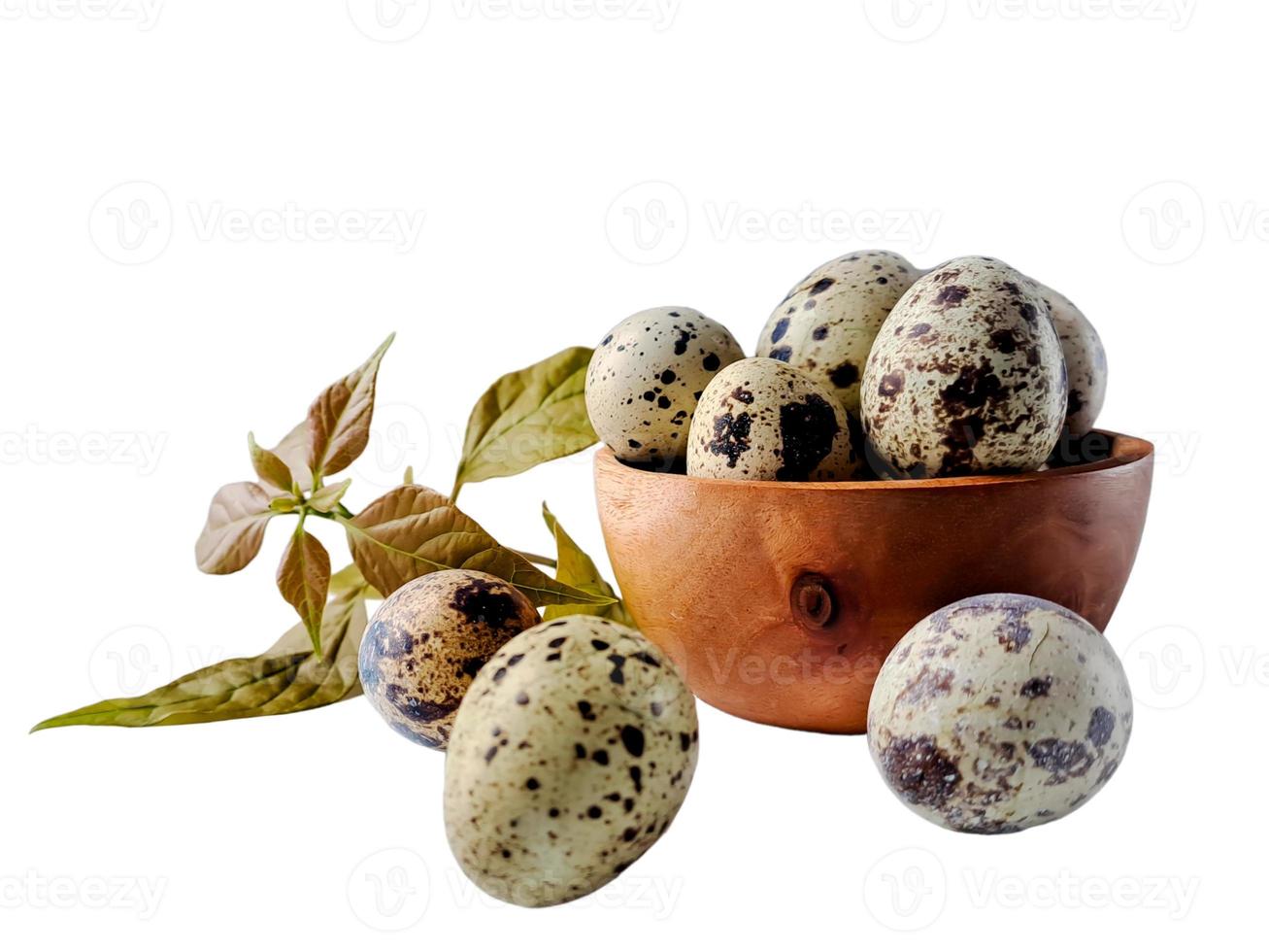 Quail eggs from quail, a collection of quail eggs on a wooden plate with isolated white background photo