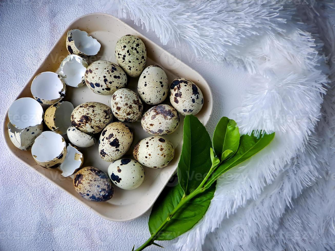 Quail eggs from quail, a collection of quail eggs on a wooden plate with a white feather blanket background photo