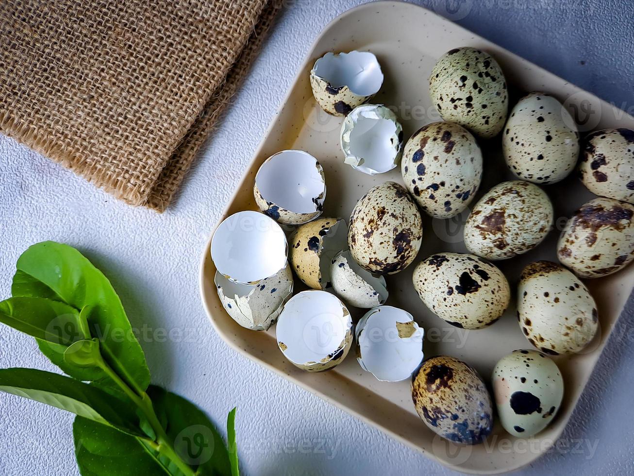 Quail eggs from quail, a collection of quail eggs on a wooden plate against a white wall background photo