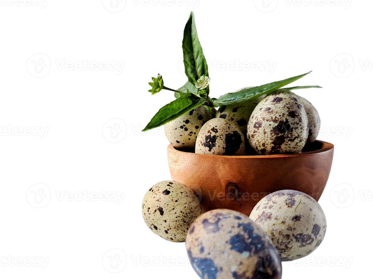 Quail eggs from quail, a collection of quail eggs on a wooden plate with isolated white background photo