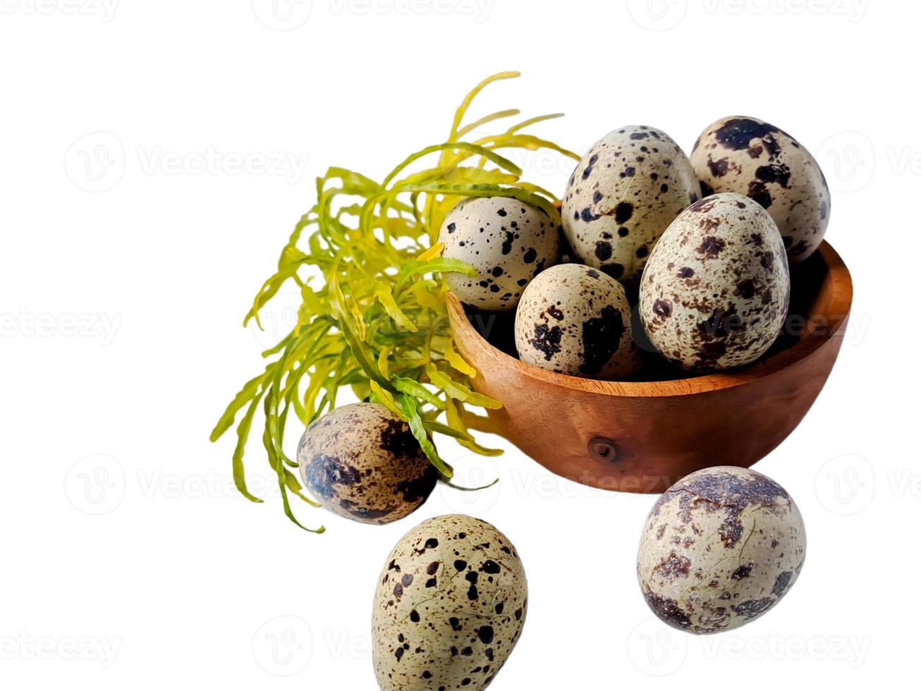 Quail eggs from quail, a collection of quail eggs on a wooden plate with isolated white background photo