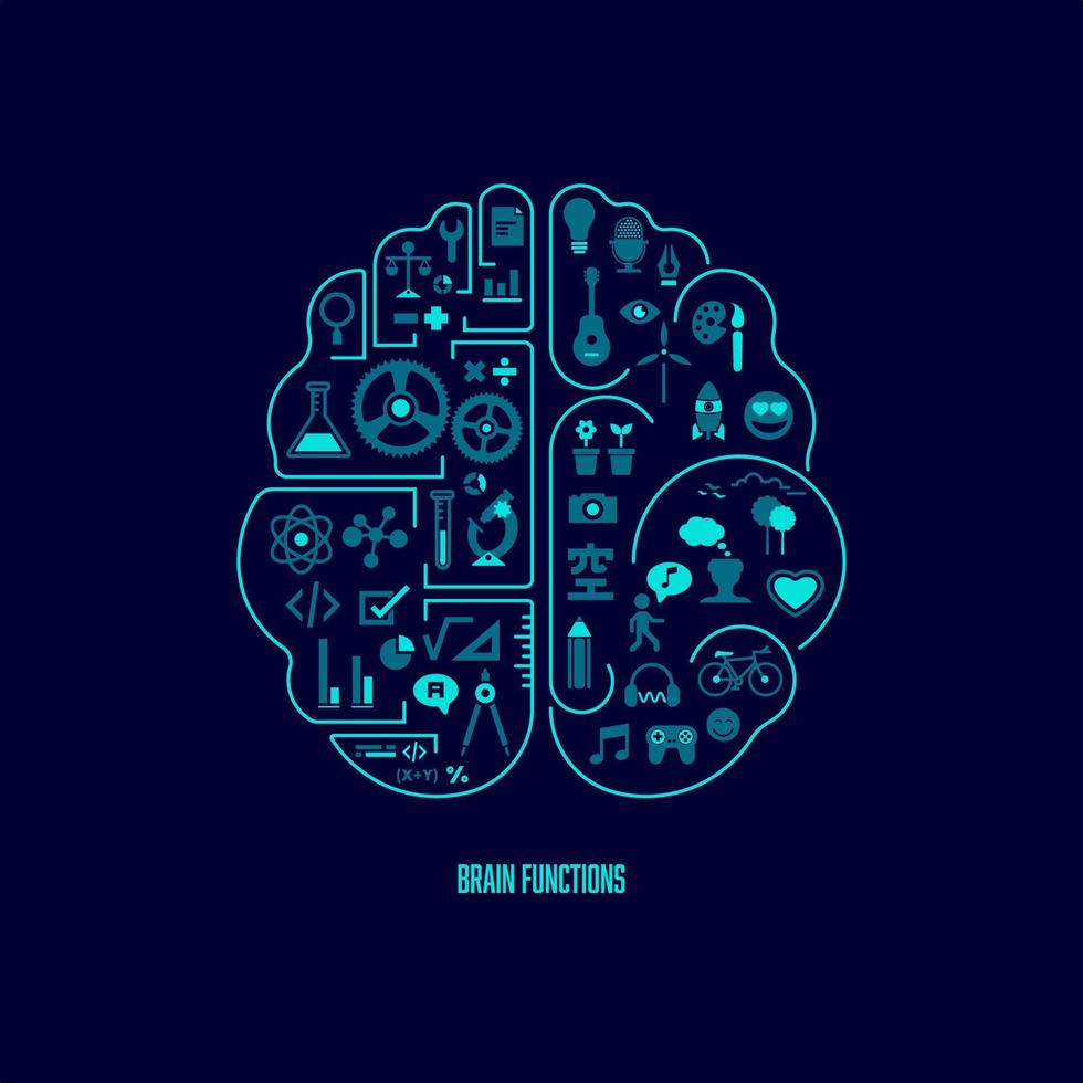 brain functions theme vector