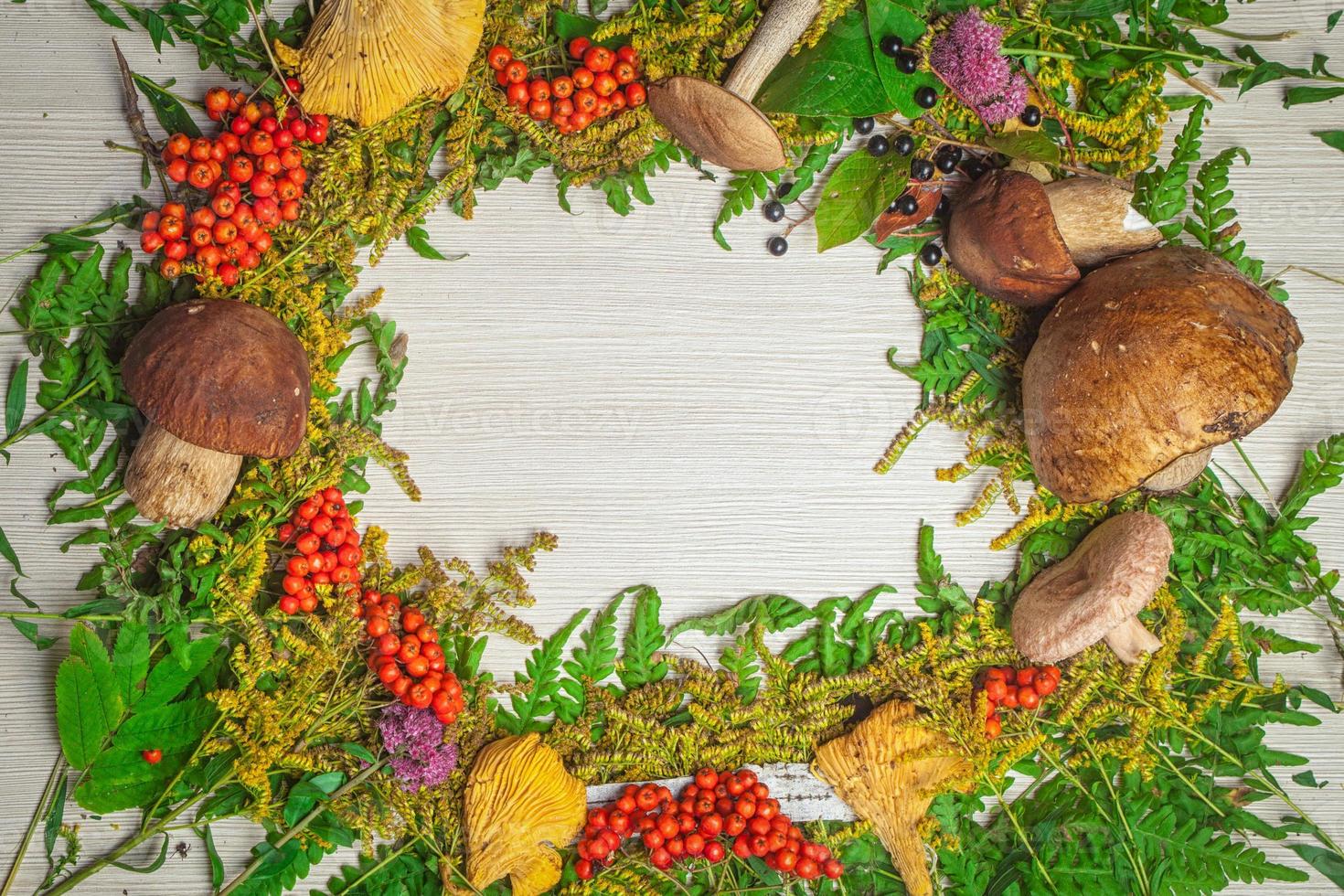 Autumn still life of mushrooms photo