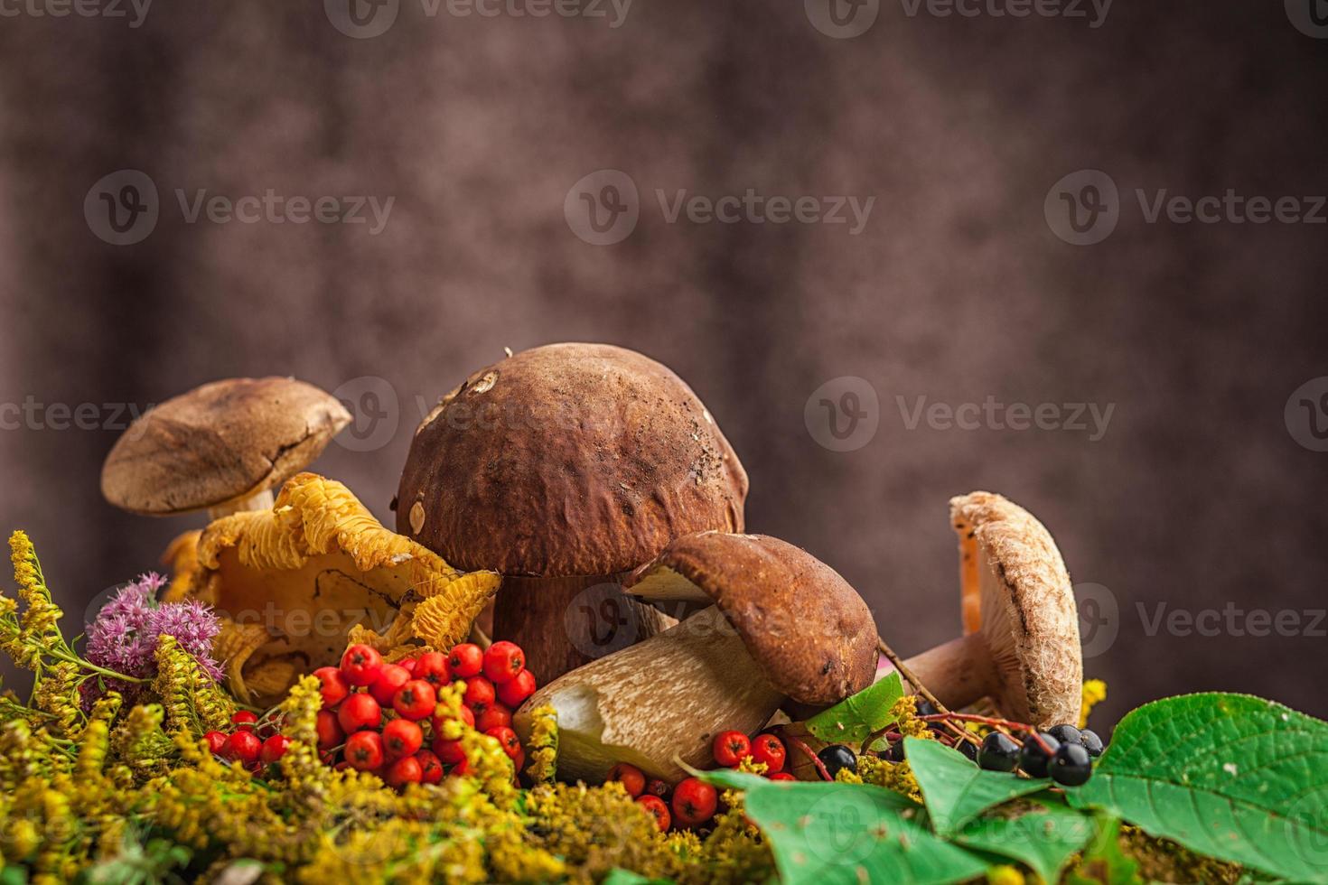 un hermoso bodegón de grandes hongos blancos naturales, hojas de naranja foto