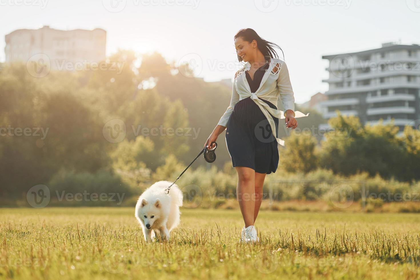 Woman with her dog is having fun on the field at sunny daytime photo