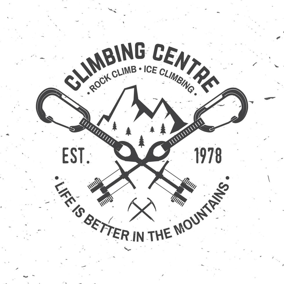 Vintage typography design with cams to hexes, mountain and carabiner. vector
