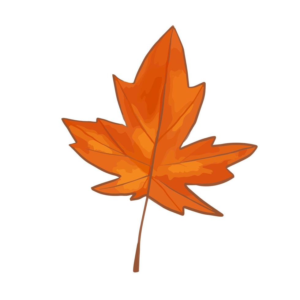 Hand drawn cute isolated clip art illustration of orange maple leaf vector