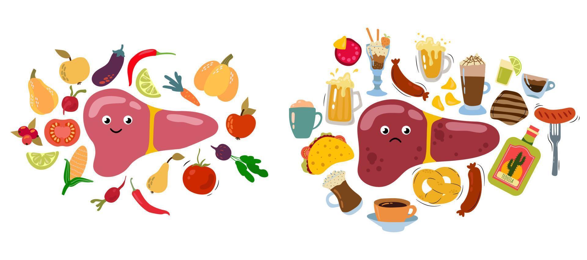 Love Your Liver Awareness Month. Healthy liver, proper nutrition. Sick liver, eating junk food. White background, isolate. Vector illustration.