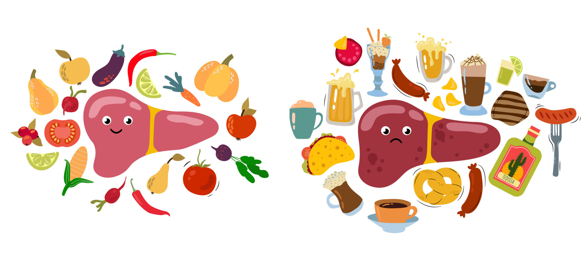 Love Your Liver Awareness Month. Healthy liver, proper nutrition. Sick liver, eating junk food