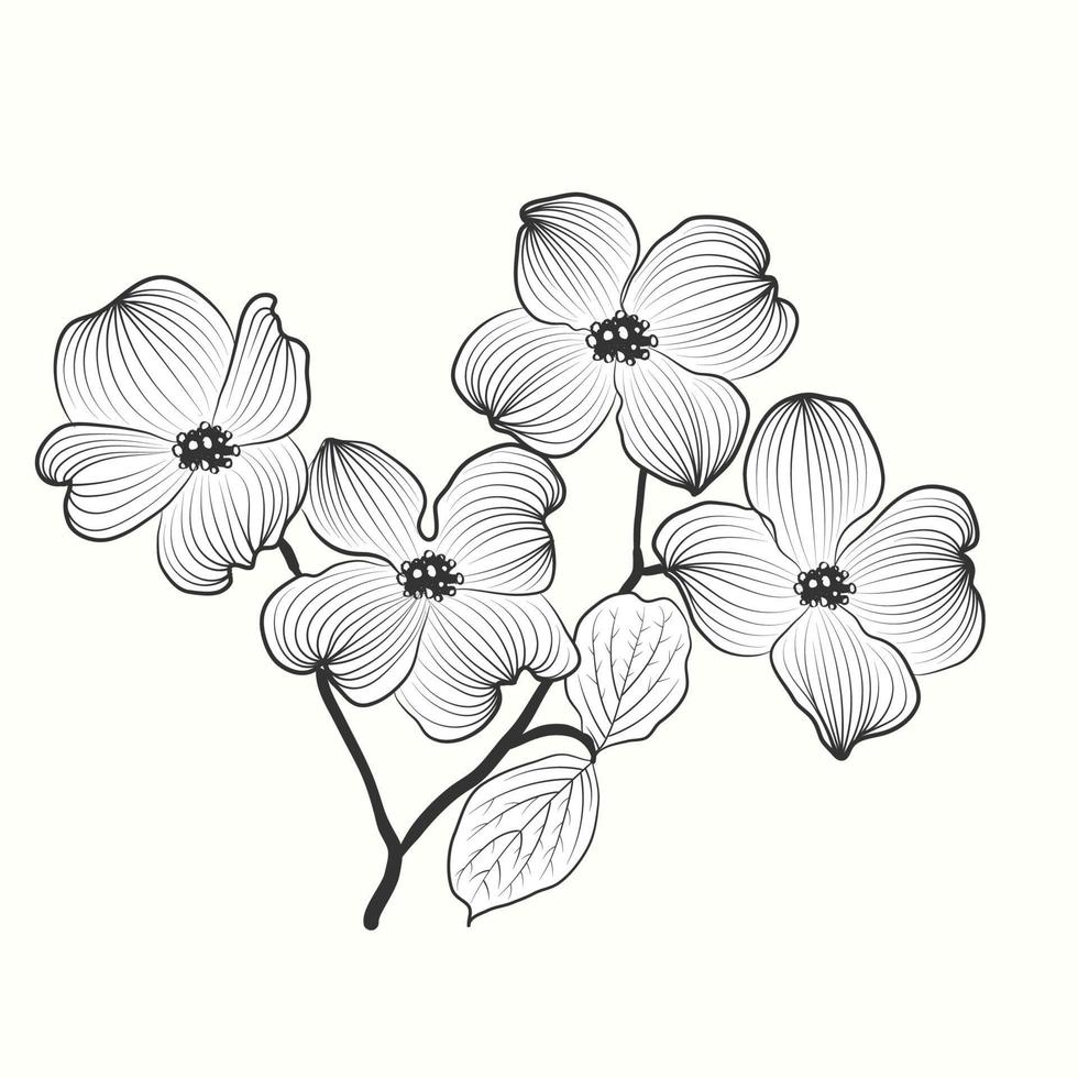 Hand drawn flower in floral style isolated on white background vector