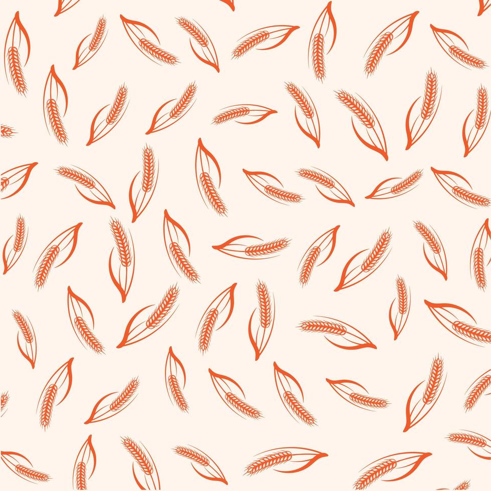 Hand drawn Wheat Background with wheat ripe spikelet isolated on white background vector