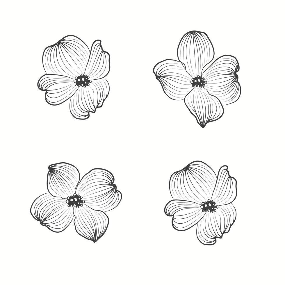 Hand drawn flower in floral style isolated on white background vector