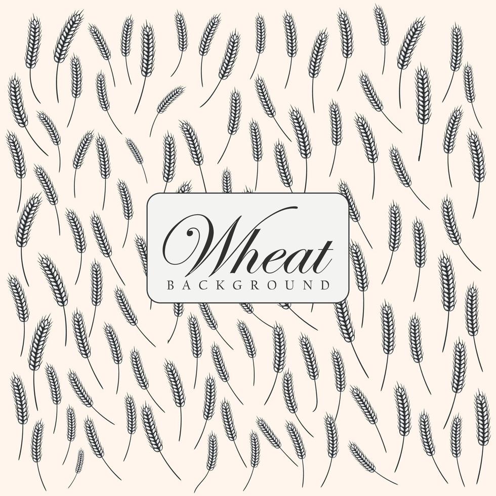 Hand drawn Wheat Background with wheat ripe spikelet isolated on white background vector