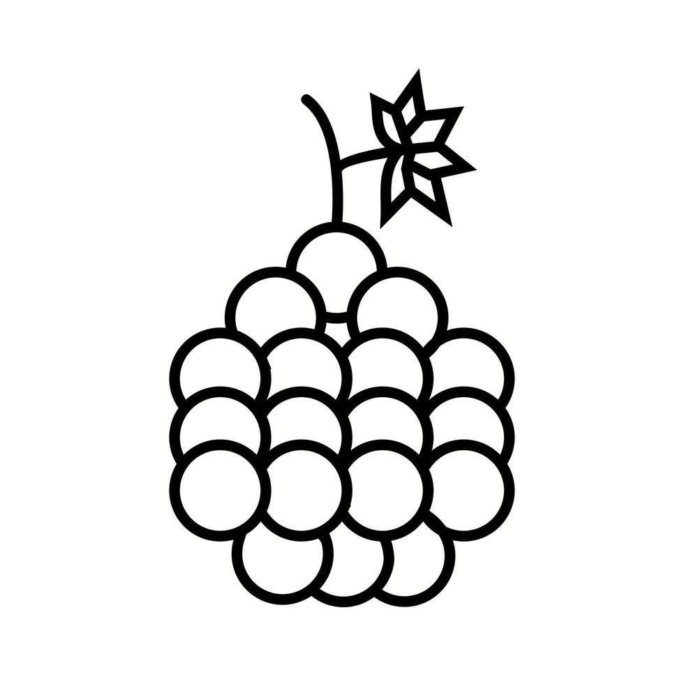 icono de línea de vector de uvas único