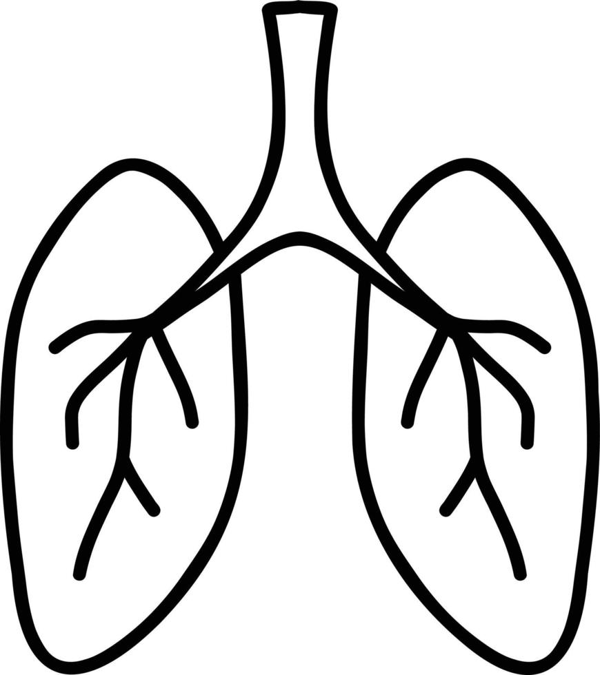 Hand Drawn lungs illustration vector