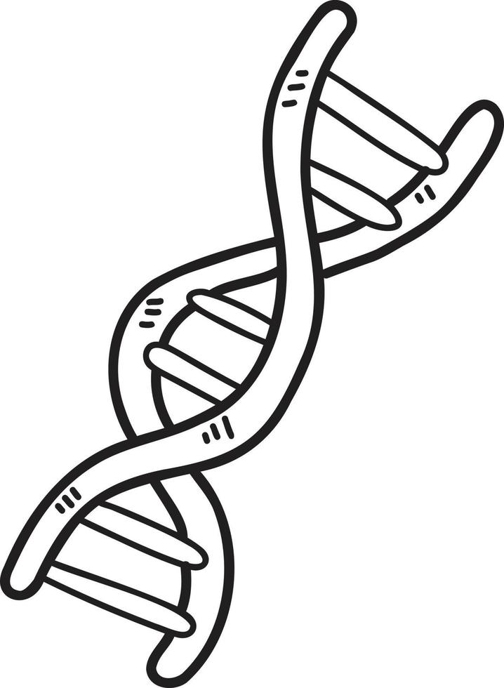 genes dibujados a mano e ilustración de adn vector