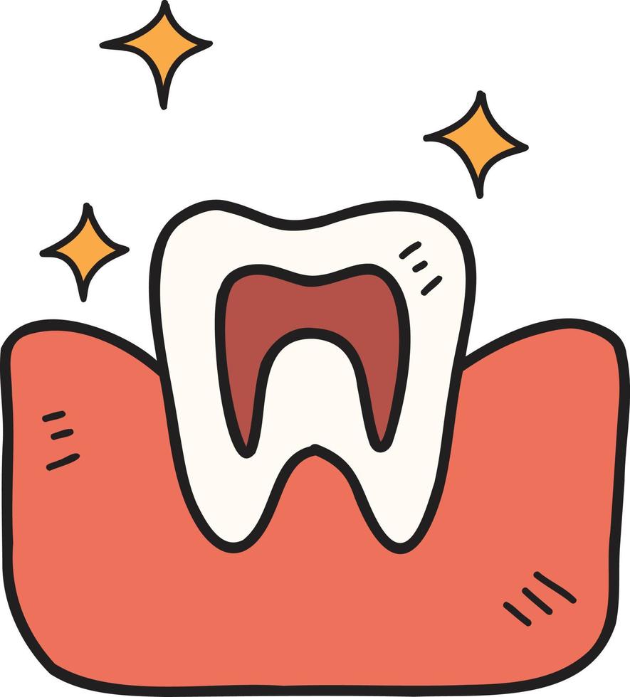 Hand Drawn teeth and gums illustration vector