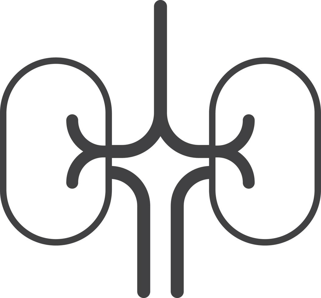 ilustración de riñón en estilo minimalista vector