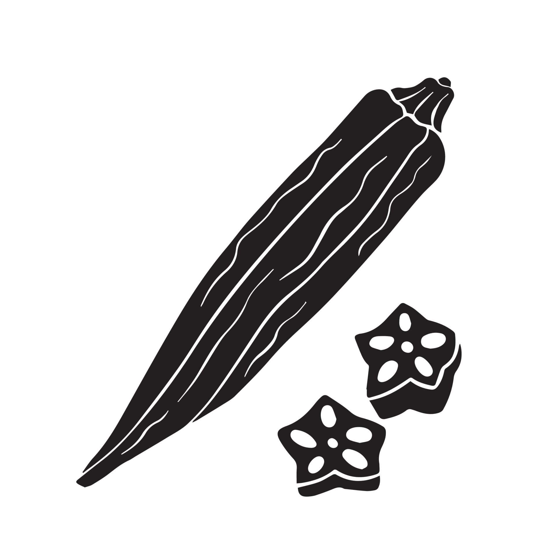 Okra Hand Draw Sketch Vector Vegetable Stock Vector, 42 OFF