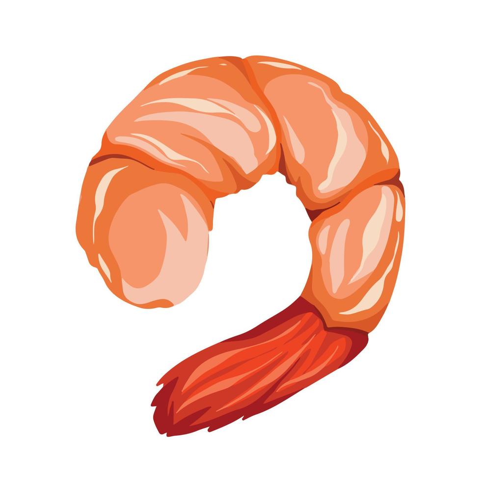 Cooked shrimp vector illustration isolated on plain white background. Colored boiled sea food animal drawing with cartoon flat art style.