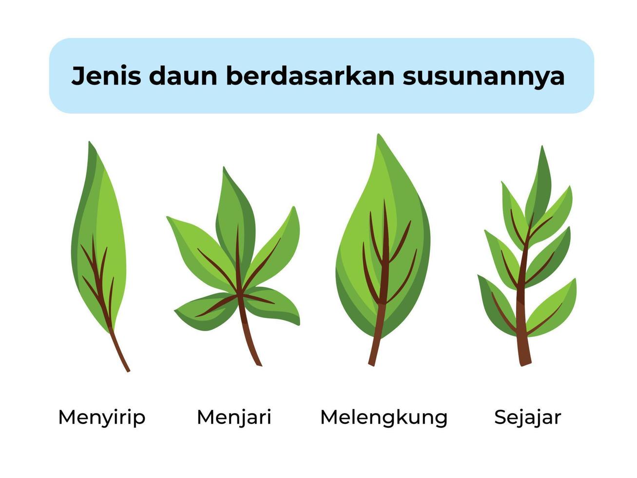 Types of leaves with text description in bahasa Indonesia. Educational vector illustration set for biology plant themed art with cartoon flat style.