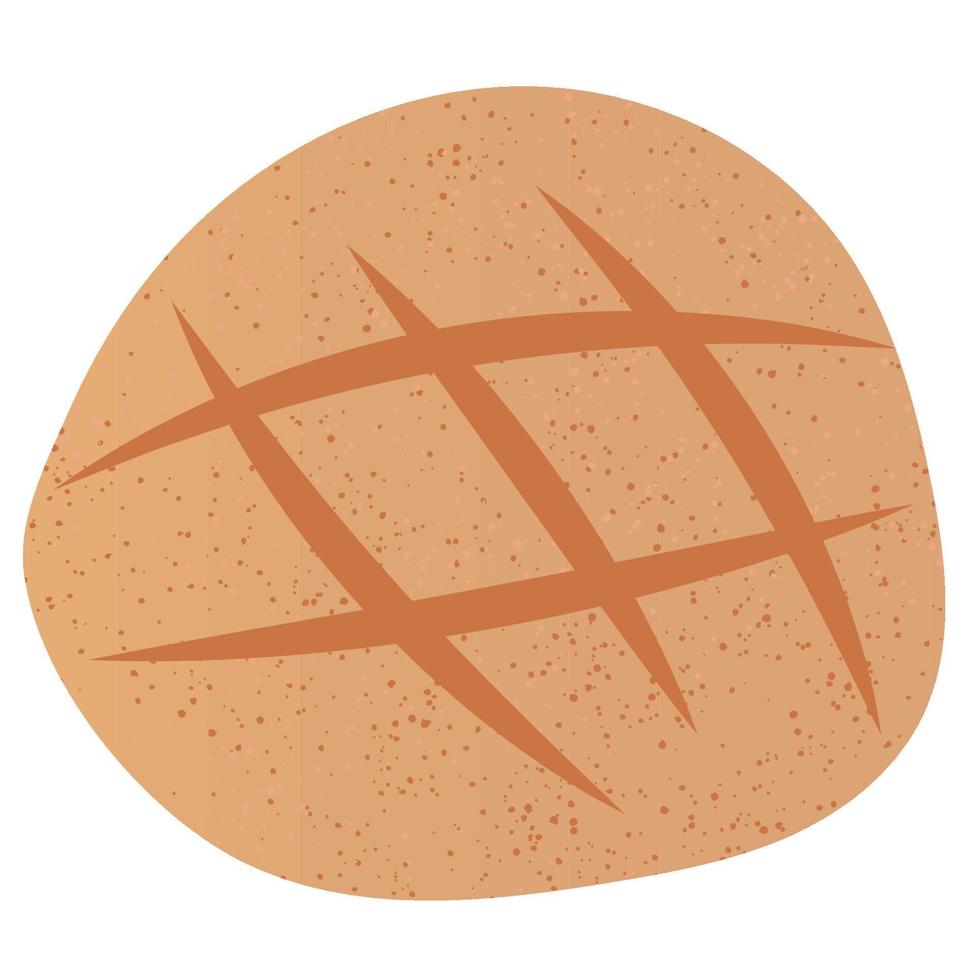 Melonpan - classic Japanese sweet bread covered in a thin layer of crisp biscuit crust with grid line pattern on top. vector