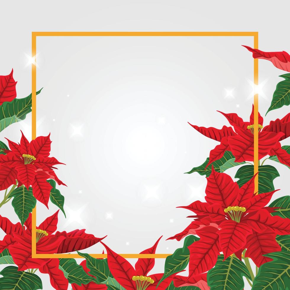 Poinsettias Background Template vector