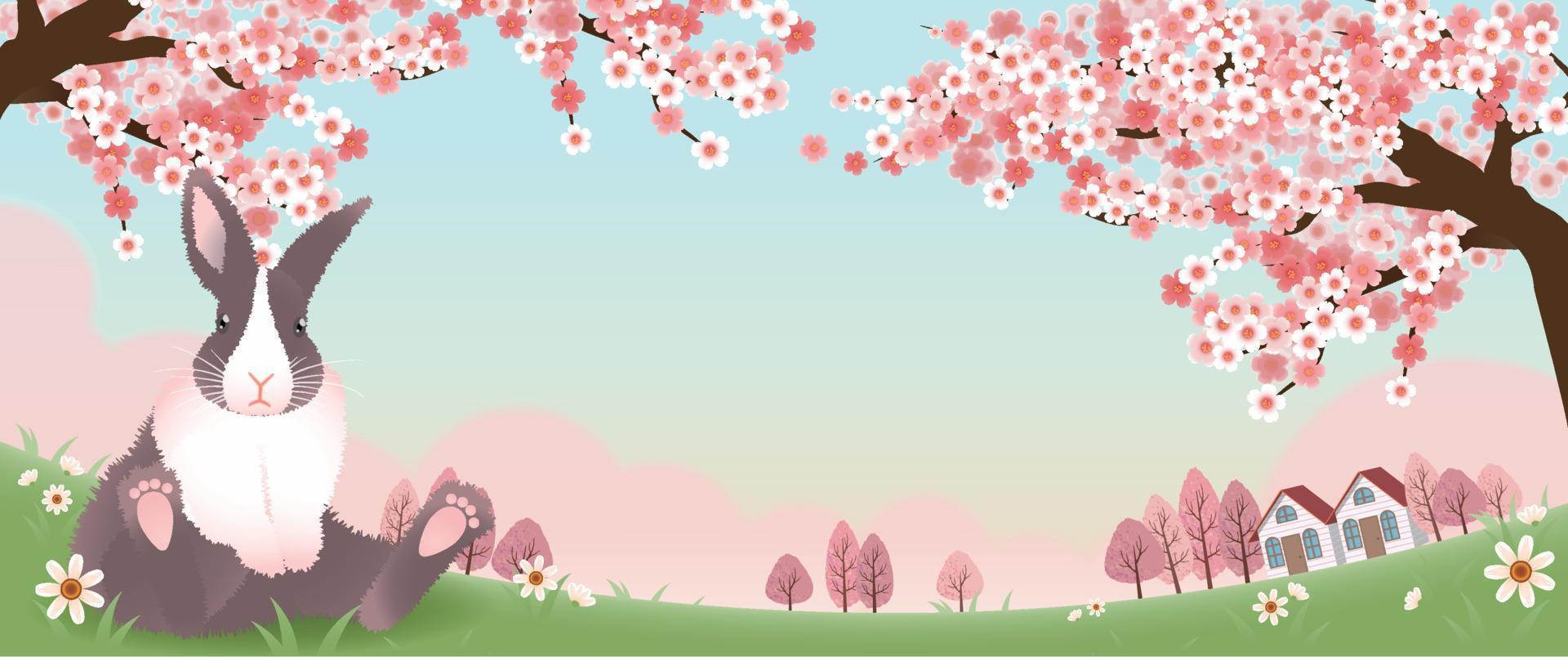 Rabbit Banner Under the Cherry Blossom Tree vector