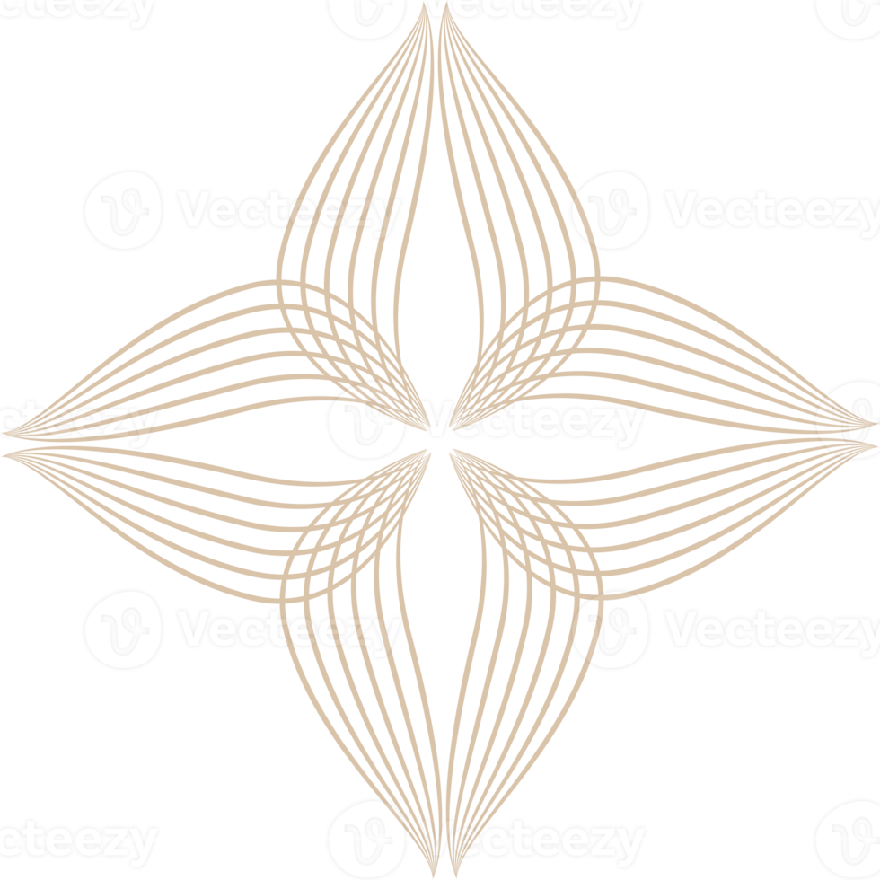 abstract floral design ornament png