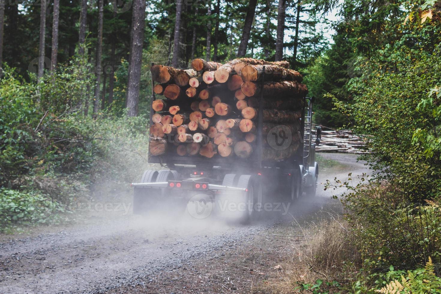 Logging truck hauling a full load down a dusty dirt road photo