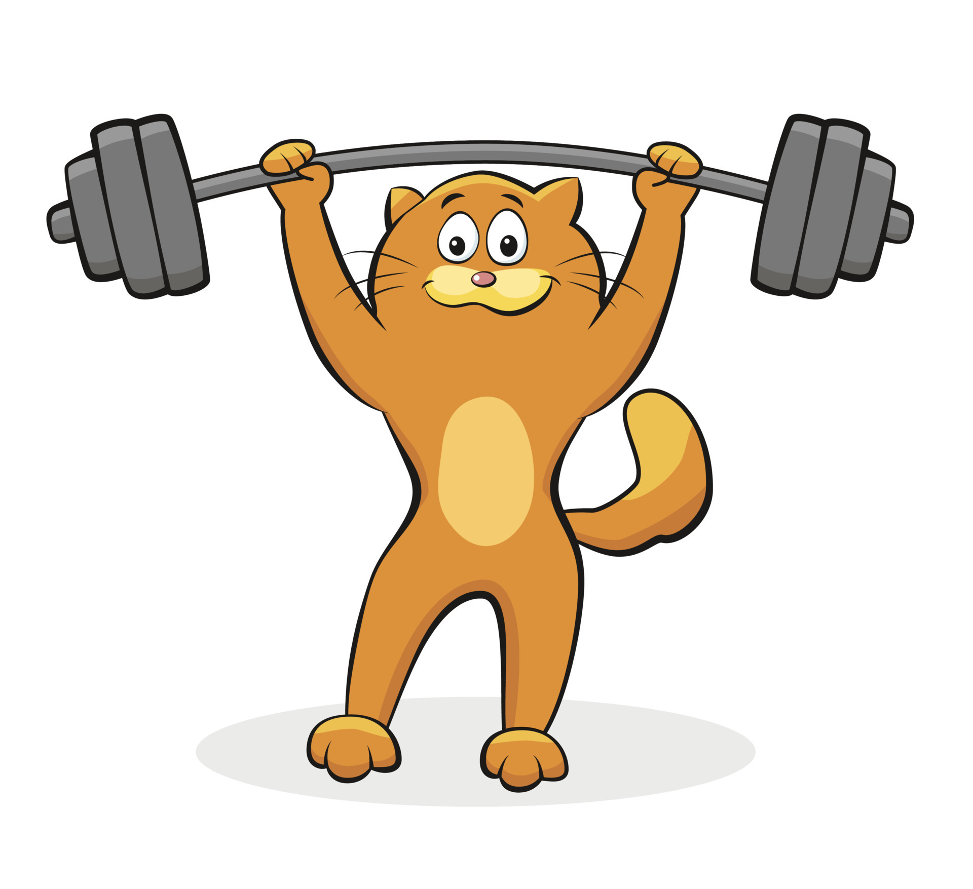Vector illustration of a fit cat lifting a heavy barbell over his head. Workout  exercise by bodybuilder with weight. Gym and lift sport training by  athletic cartoon animal 15445488 Vector Art at