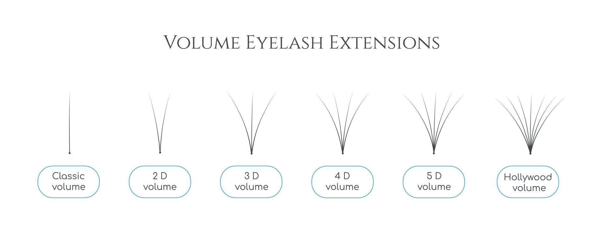 manojo de vectores de pestañas artificiales para extensiones de pestañas de volumen. guía profesional de lashmaker para entrenar diferentes tipos de racimos. materiales de pinzas para procedimientos de belleza de salón